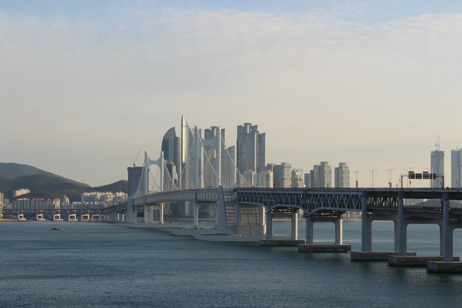 Busan authorities remove celebrity shark from city canal on third attempt